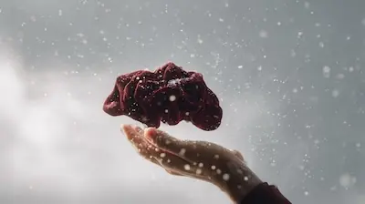 Neige fraîche couvrant un paysage d'hiver — blanche et immaculée